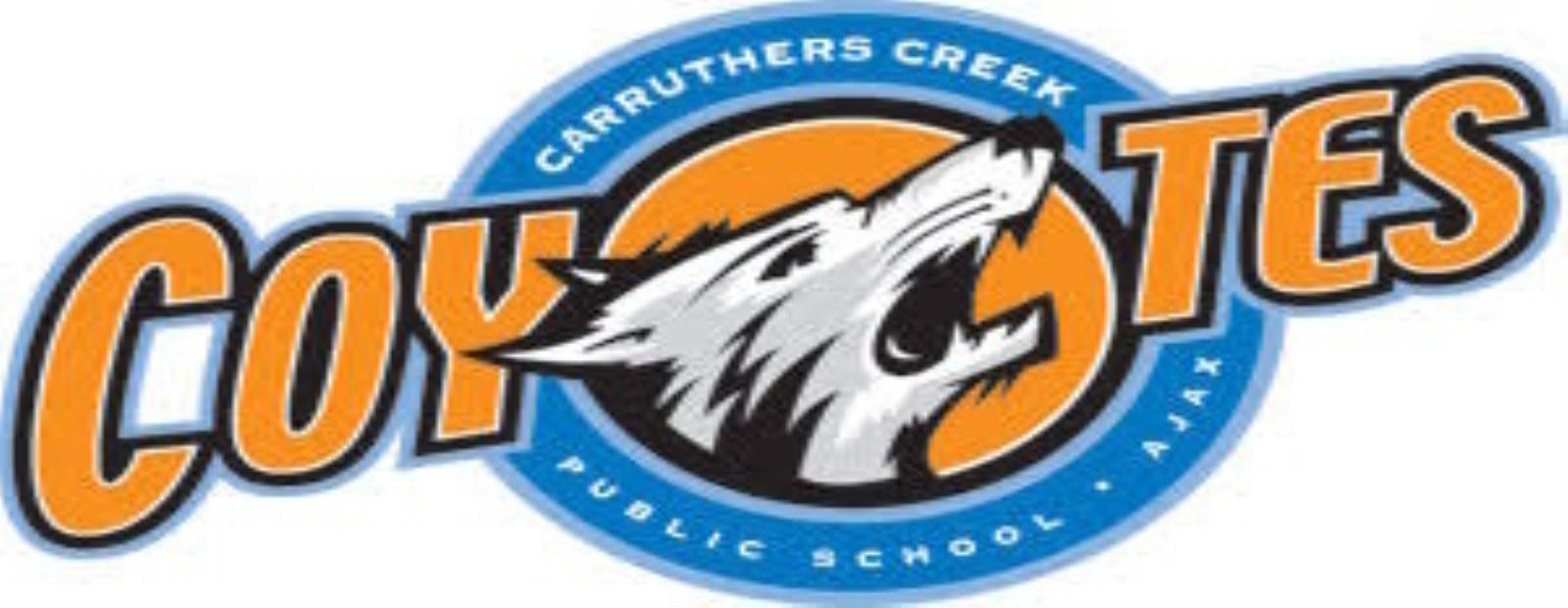 virtual curriculum night
